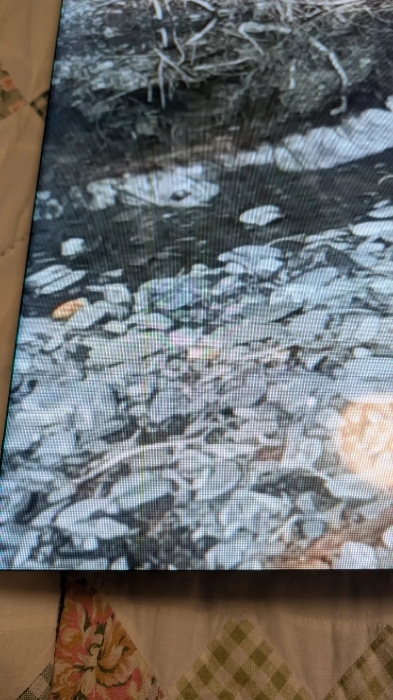 LG 55SVH7F-AJ 55"  monitor image indicator(2)