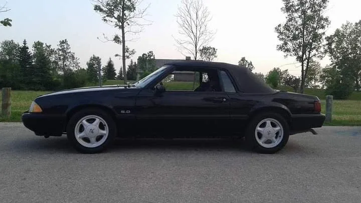 88-93 Ford Mustang Convertible Parts door/ window parts image indicator(3)