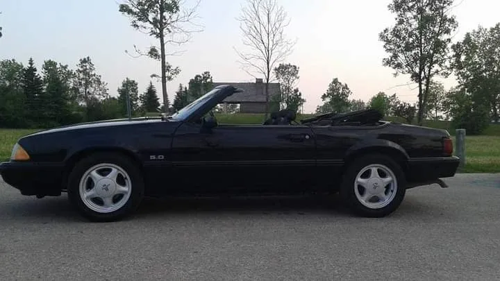 88-93 Ford Mustang Convertible Parts door/ window parts image indicator(4)