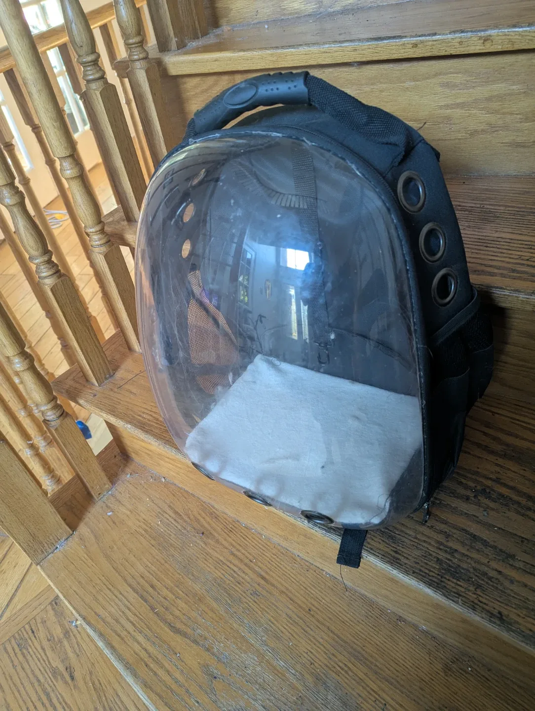 Black Pet Carrier Backpack thumbnail