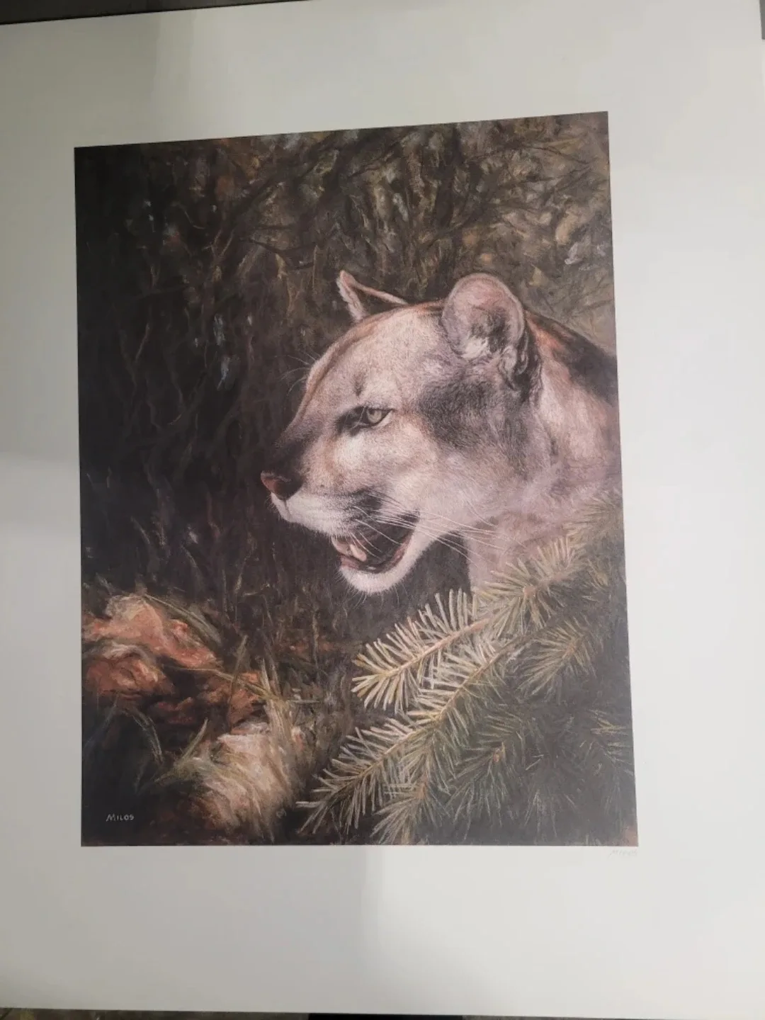 Cougar Art Print by Milos