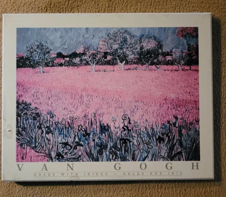 Van Gogh Arles with Irises Wall Art🥕🎯 thrifty pick