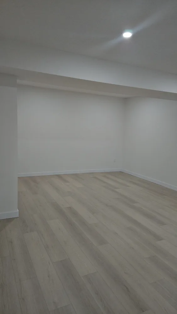 legal basment image indicator(8)