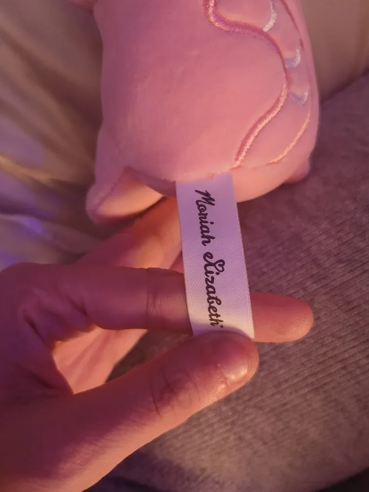 Moriah Elizabeth Plush Toy image indicator(2)