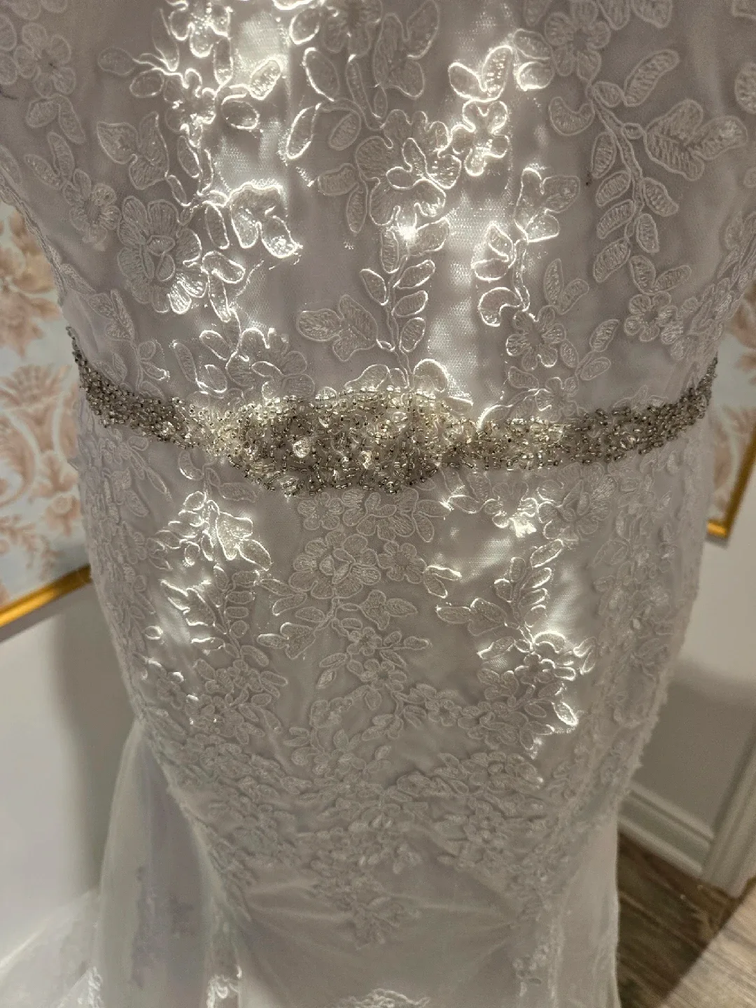 White Lace Wedding Dress image indicator(2)