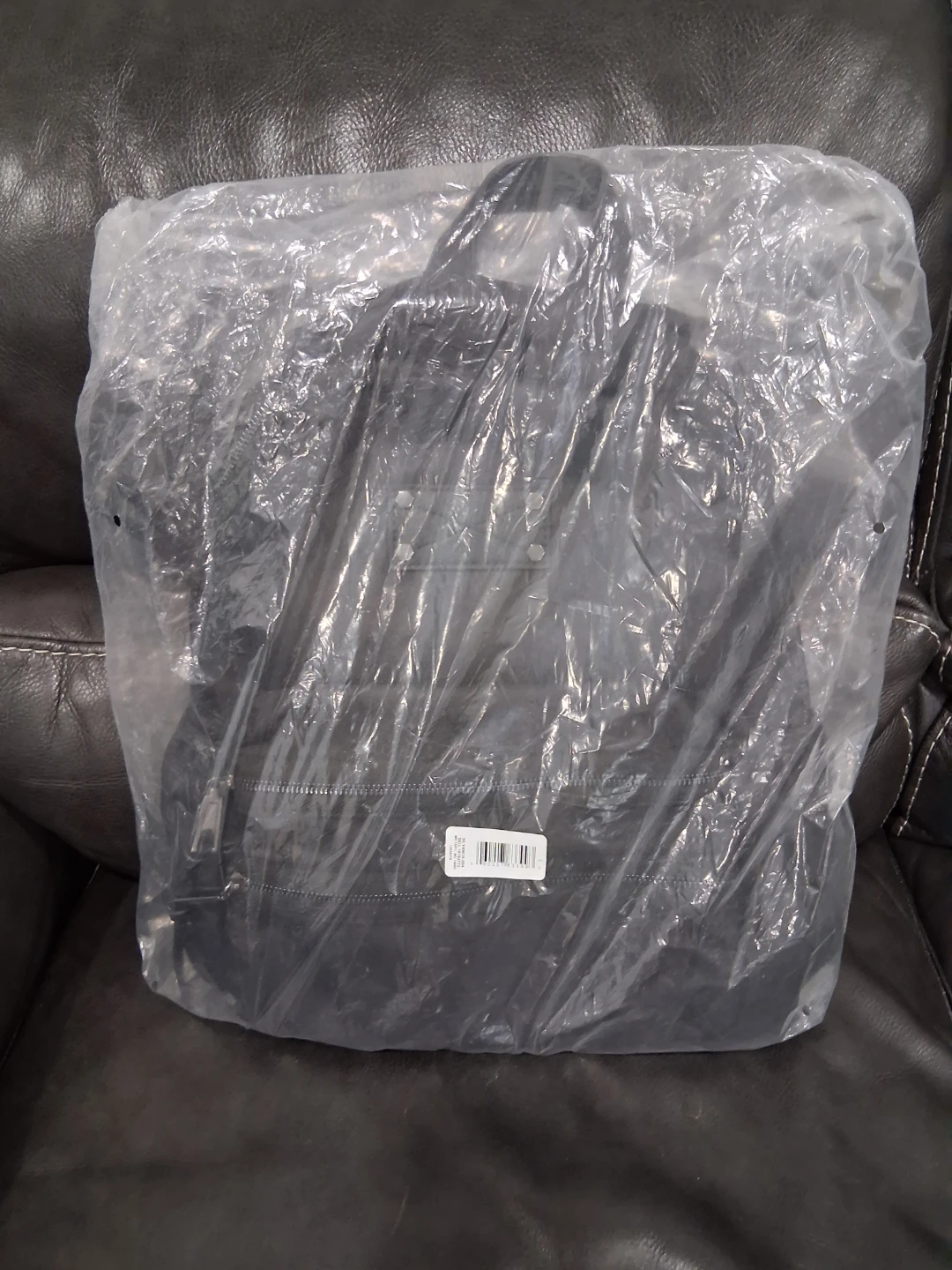 ALDO Backpack