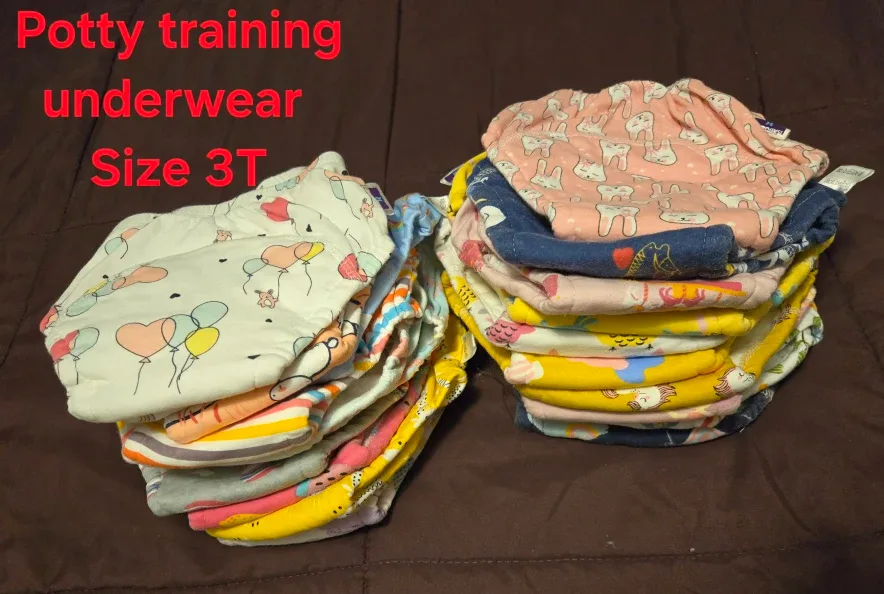 Potty Training Underwear - Size 3T