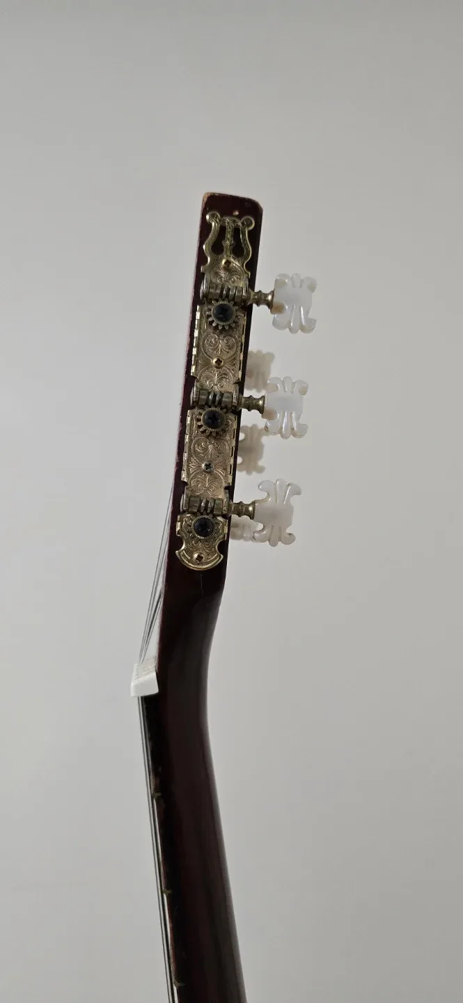 Vintage Classical Guitar image indicator(3)
