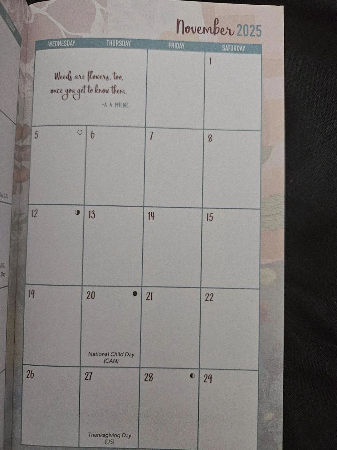 🥕🥕Free Floral Inspirations 2-Year Planner 2025-2026 image indicator(4)