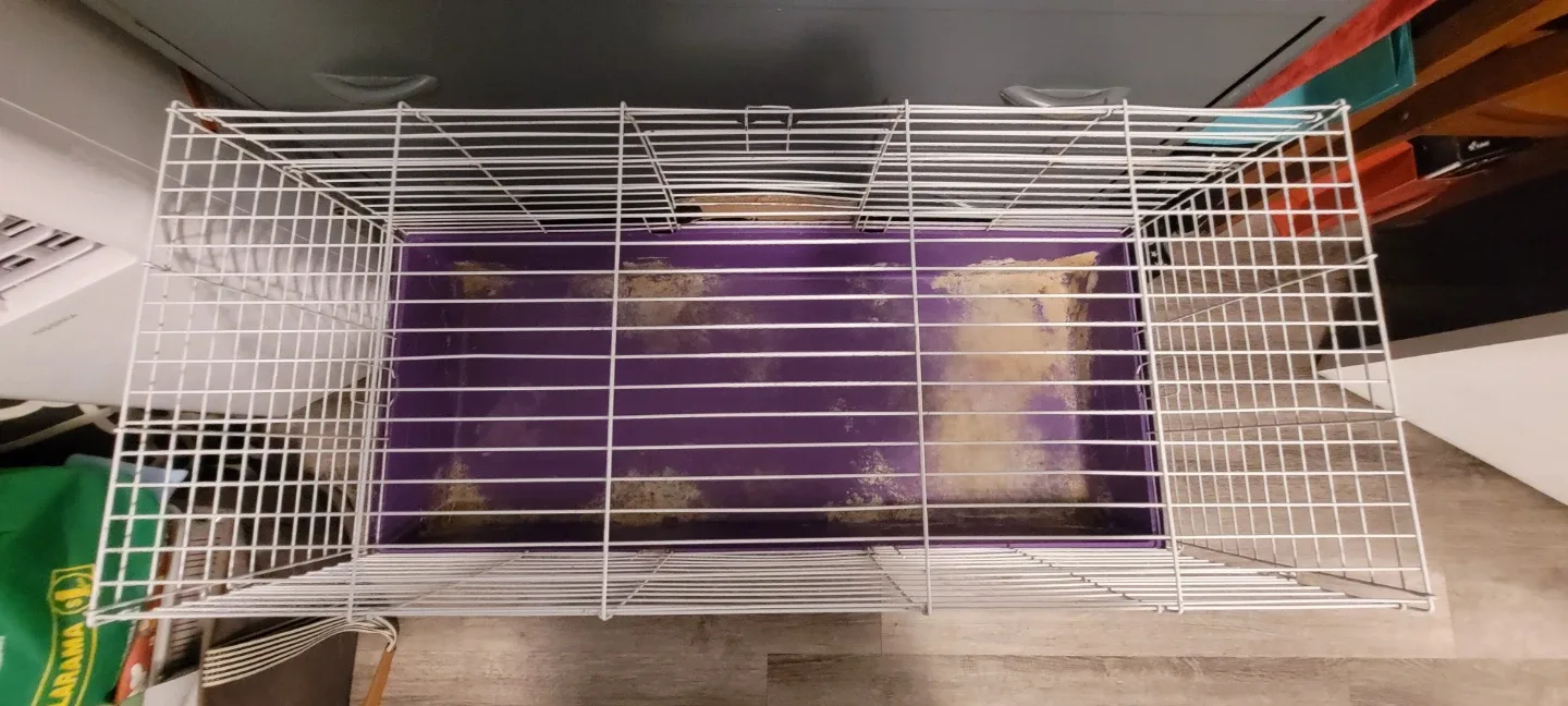Purple & White Pet Cage image indicator(2)