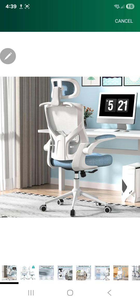 FOKESUN Ergonomic Office Chair - Carolina Blue - photo 2