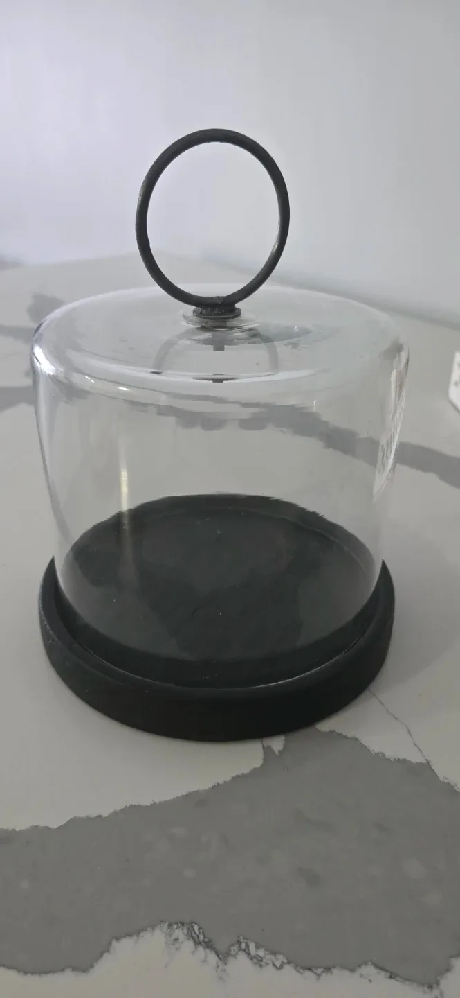Glass Cloche with Black Base image indicator(2)