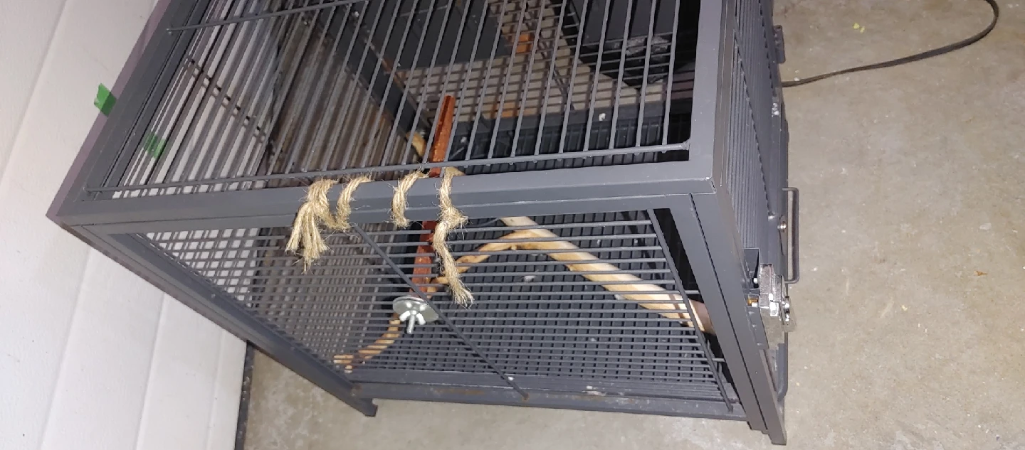 Bird Cage - Great Condition! - photo 2
