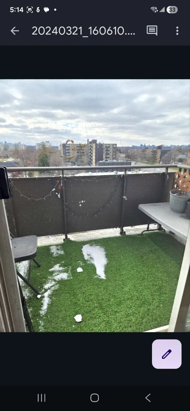 Green grass carpet thumbnail