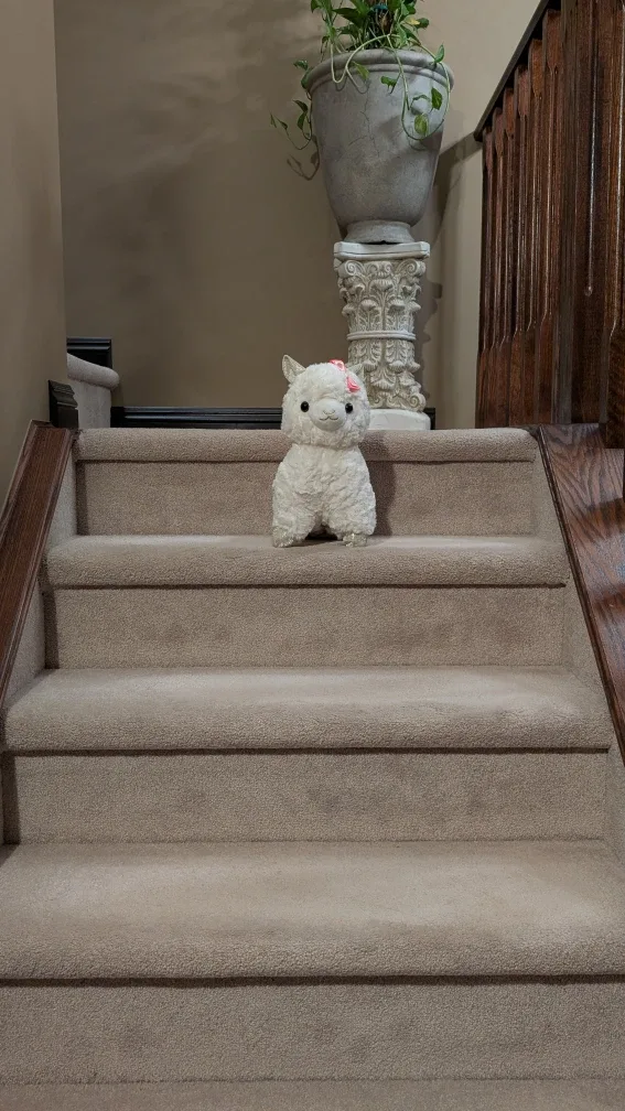 Cute Llama Heat and Hug microwavable snuggle buddy image indicator(6)