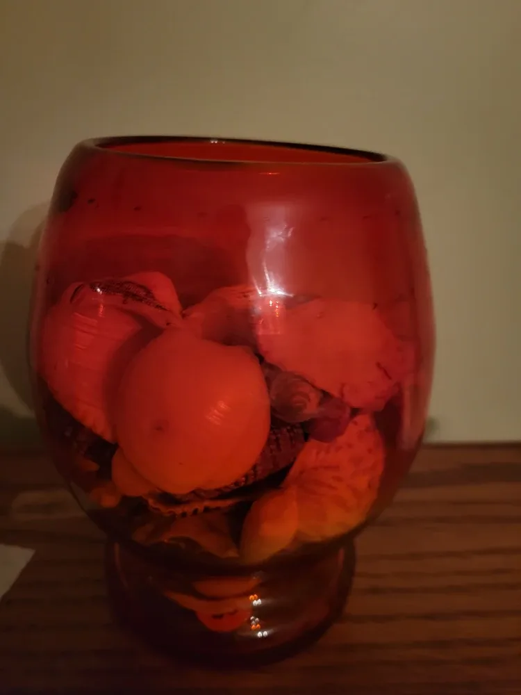 Seashells in Red Glass Vase image indicator(8)