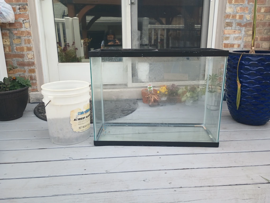 Fish Tank