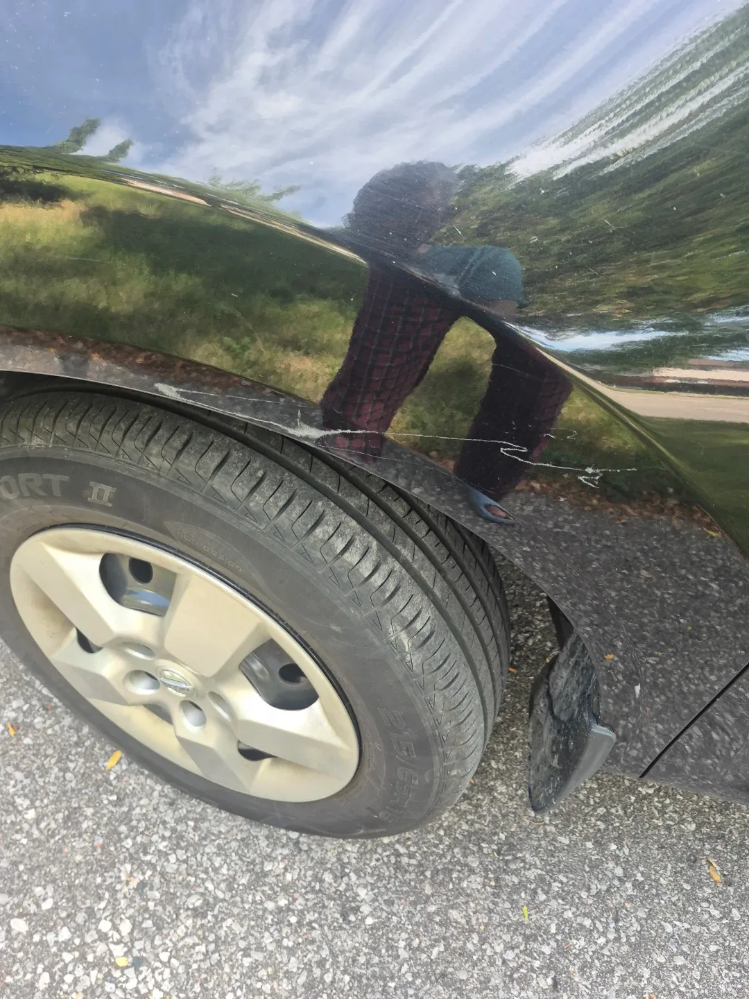 Vehicle image indicator(7)