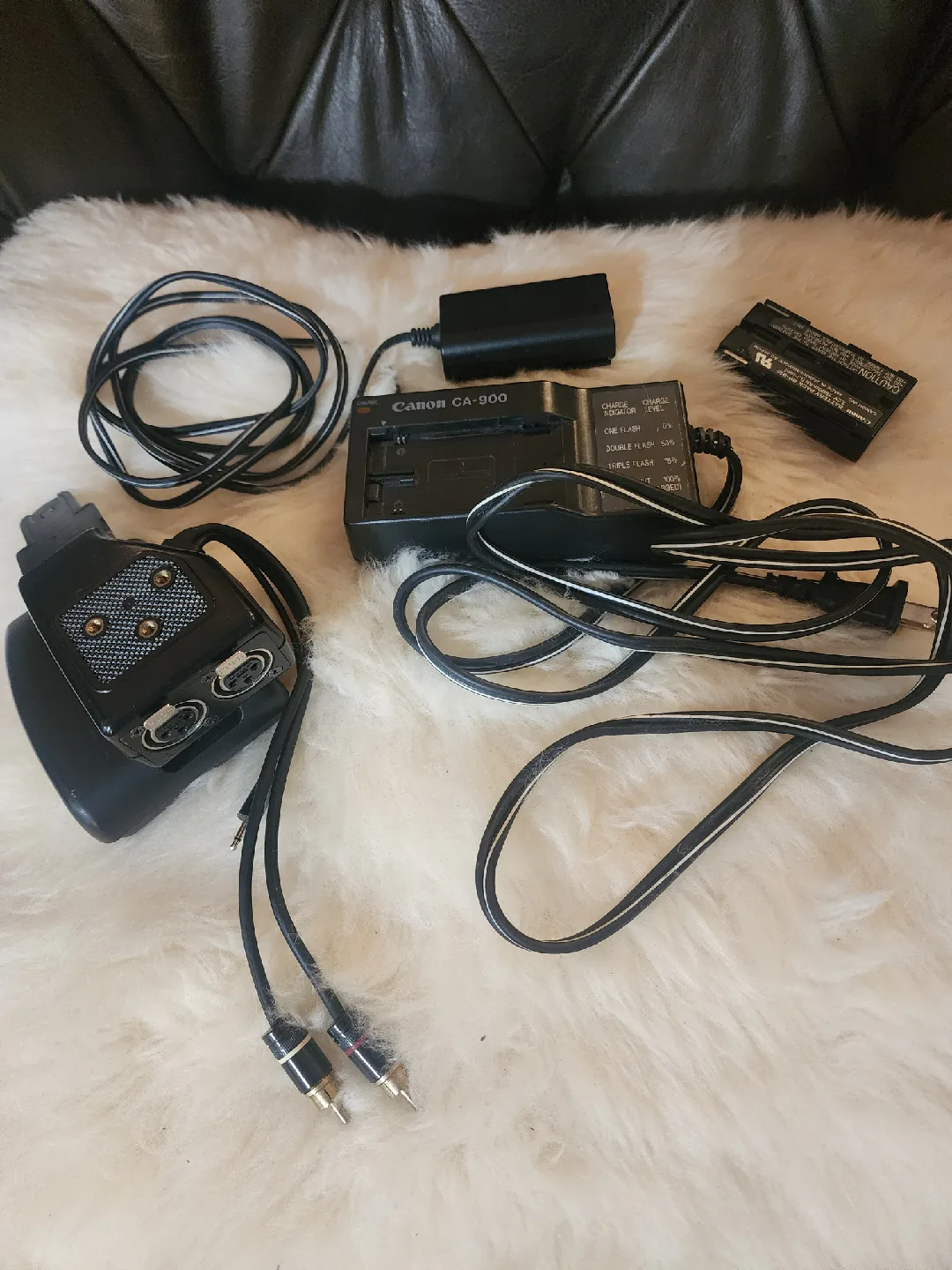 Canon XL1 Camcorder image indicator(7)