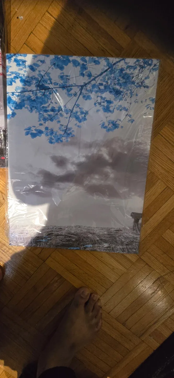 BRAND NEW  3 Canvas Wall Art - Tree Theme🥕 image indicator(4)