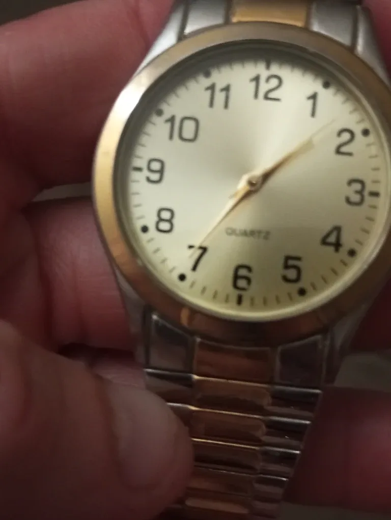 Quartz Two-Tone Wristwatch image indicator(2)