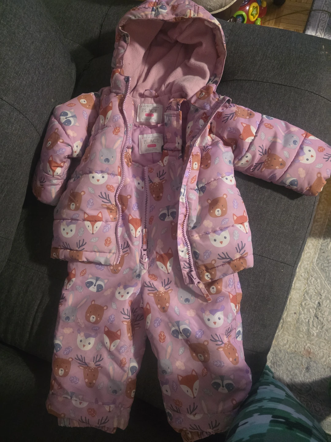 The Children's Place Snowsuit - Size 12-18 Months