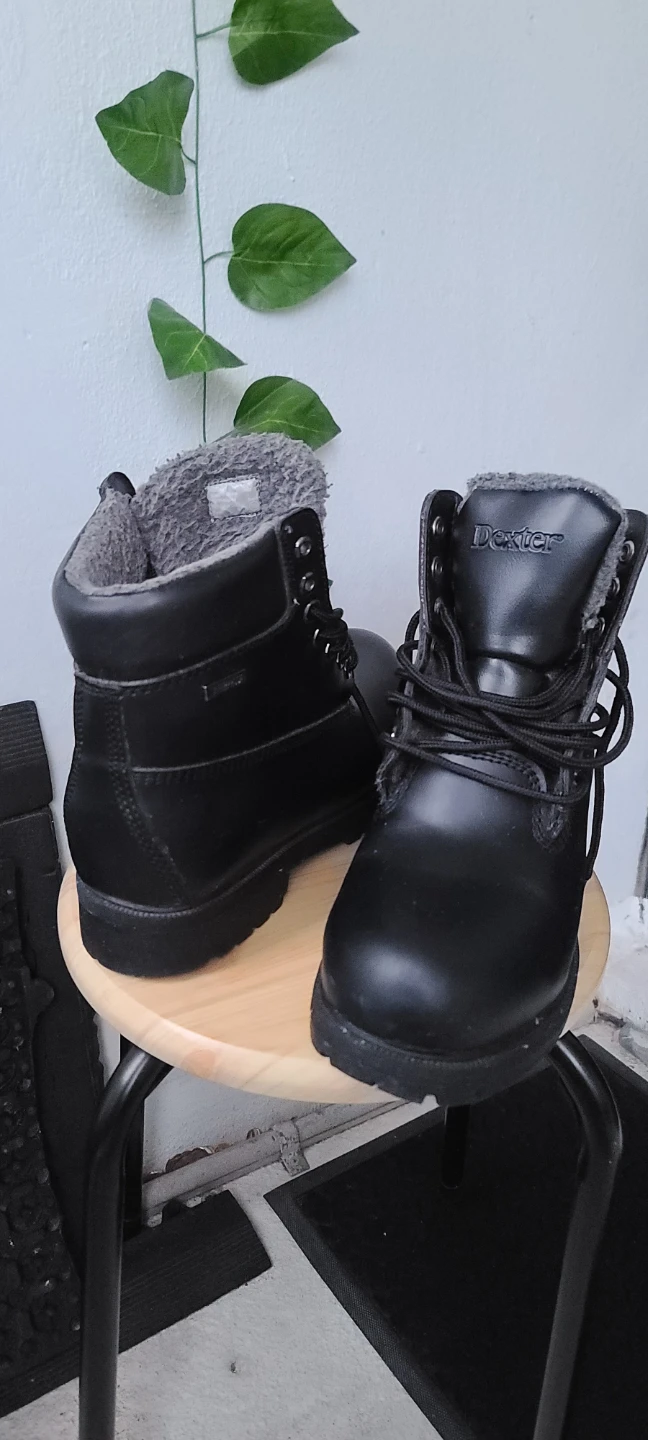 Dexter Men's Black Winter | Snow Boots