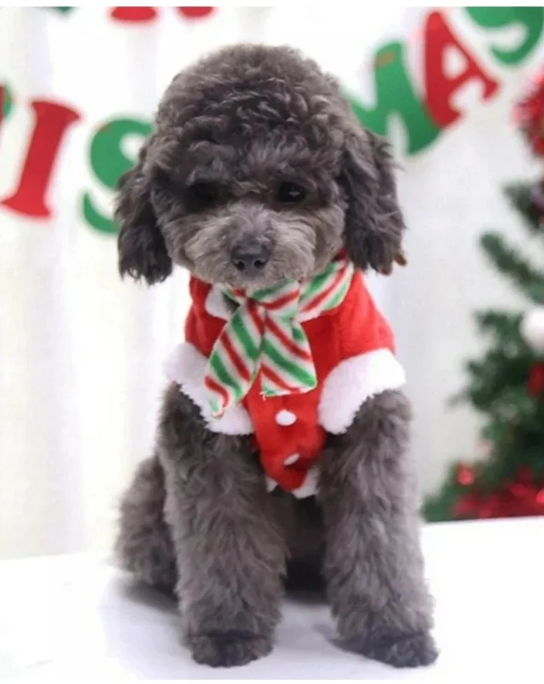 Christmas Puppy Clothes, Warm Pet Dog Cat Jacket Coat, Winter... image indicator(2)