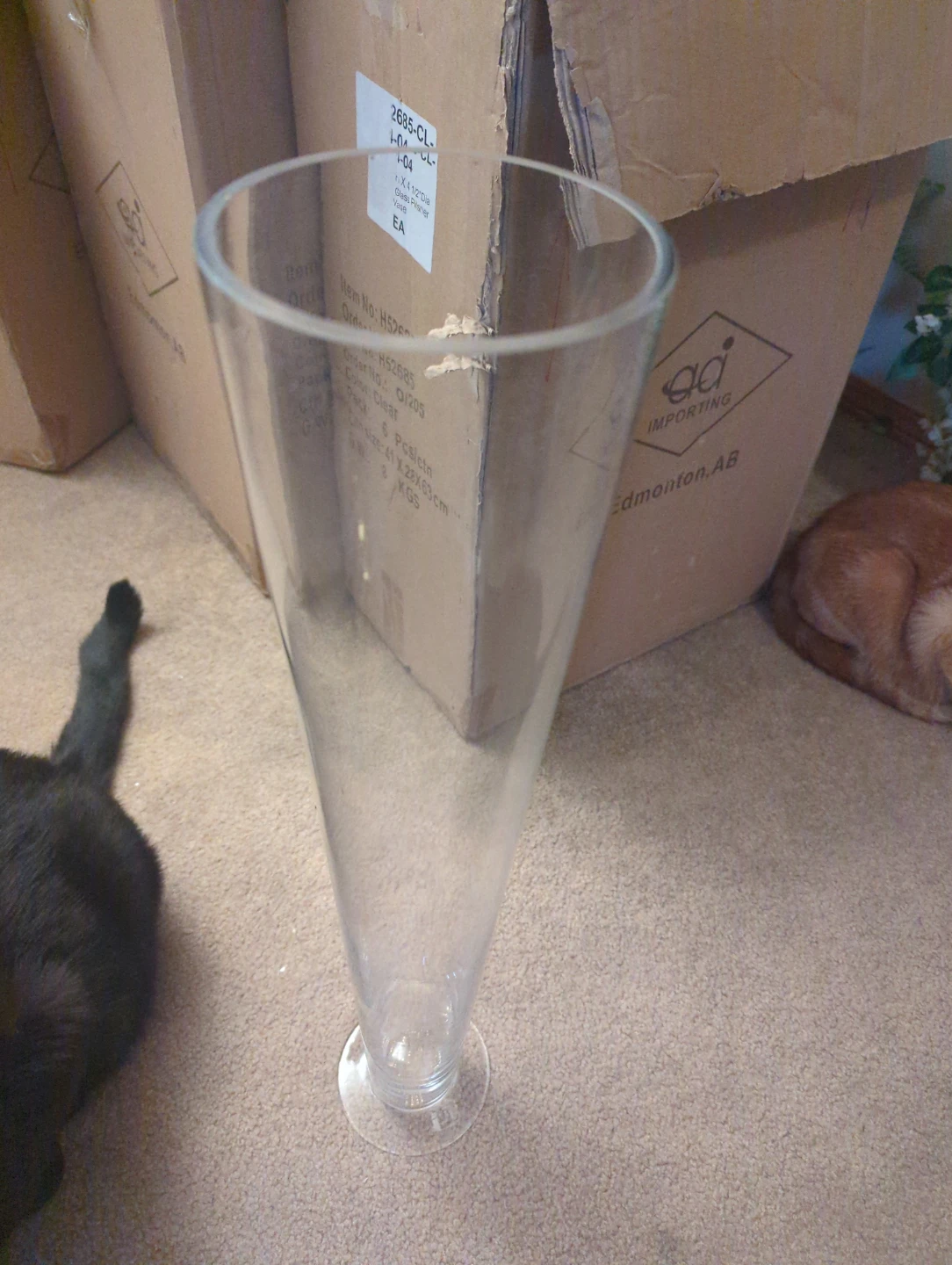 Clear Glass Pilsner Vase 24" Tall - photo 2