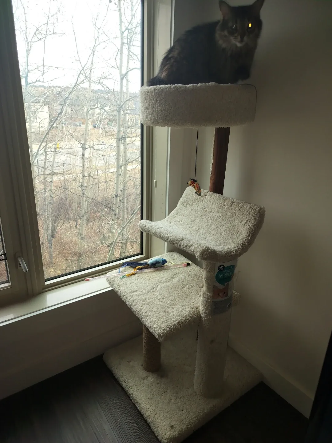 Cat Tree with Scratching Post image indicator(2)