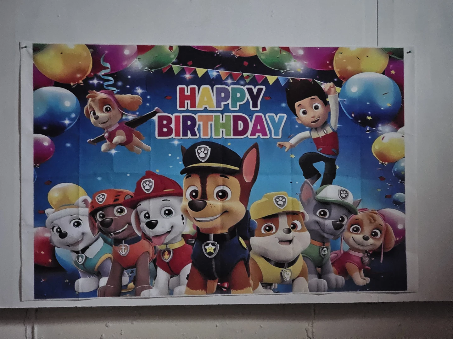 Paw Patrol Birthday Party Supplies Set