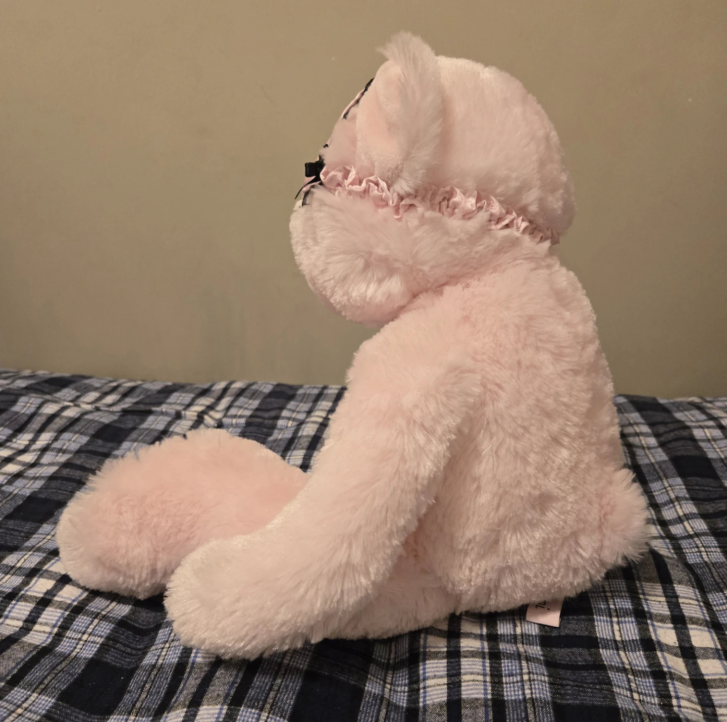 2009 Holiday Edition La Senza Bear Mimi - photo 3