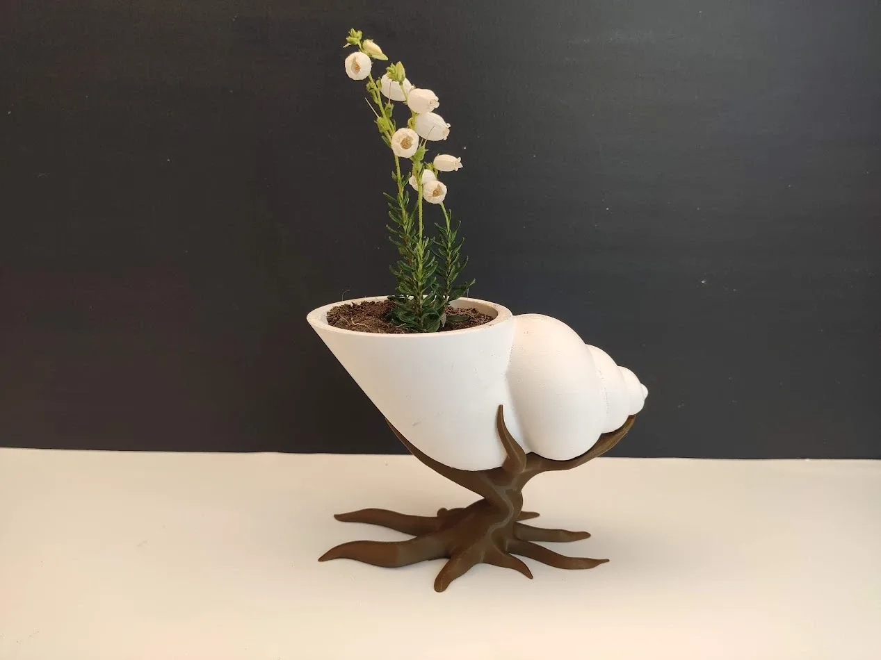 Seashell Planter