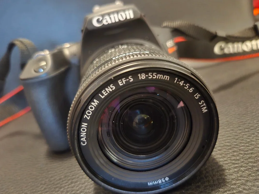 Canon EOS Rebel SL3 with EF-S 18-55mm Lens image indicator(3)