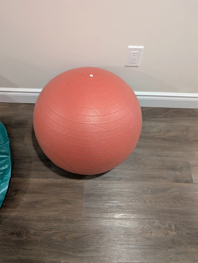 Gaiam Exercise Ball - 65cm - photo 2
