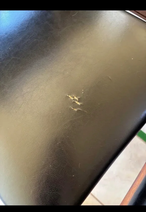 Dining Table Set with 4 Chairs & Bench image indicator(3)