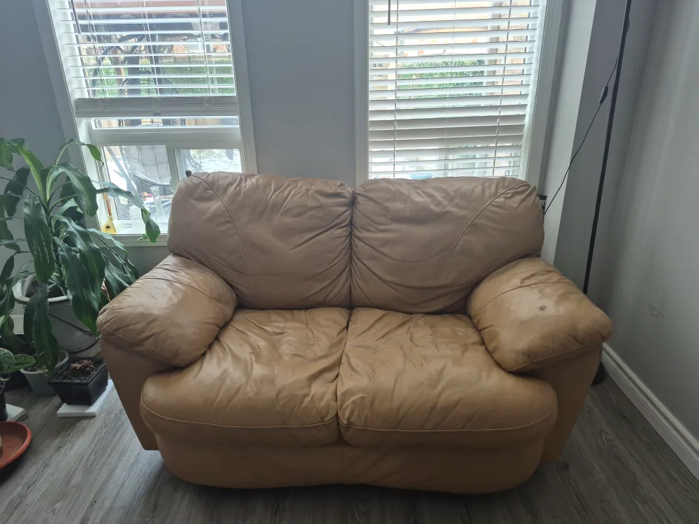 Tan Loveseat Sofa