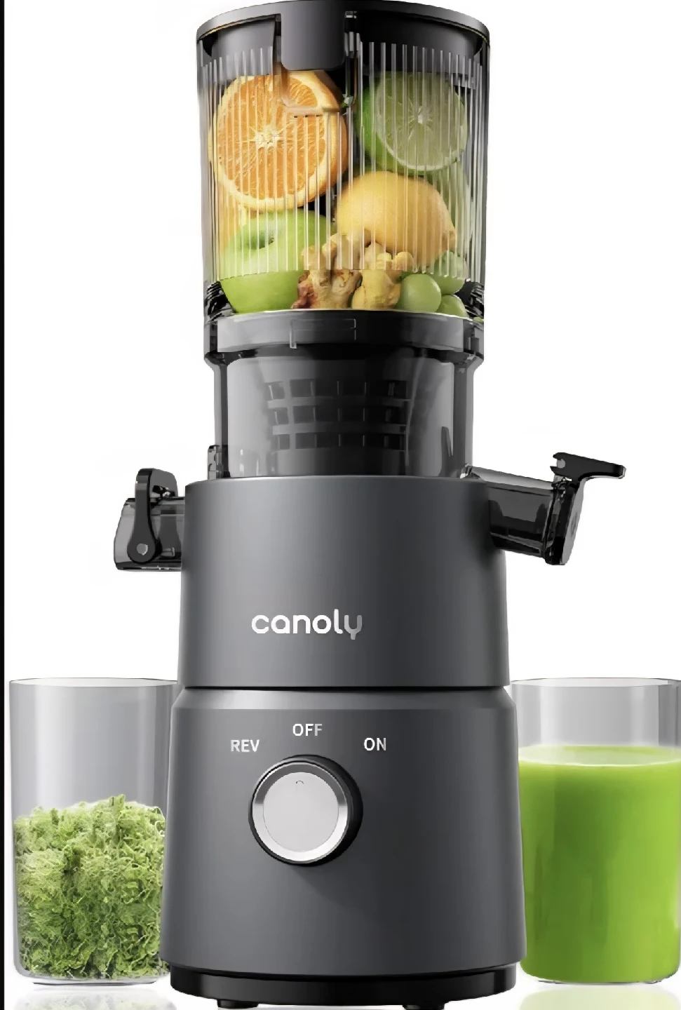 Canoly Cold Press Slow Masticating Juicer