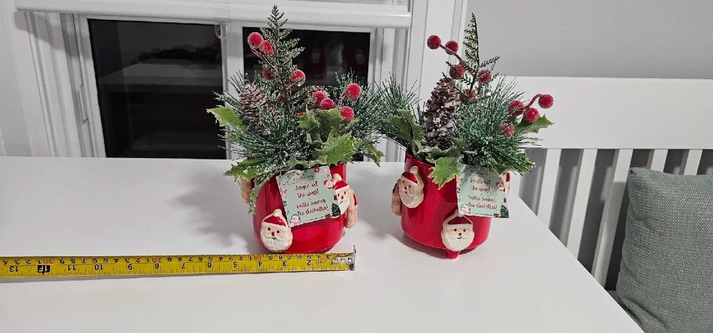 Christmas Floral Arrangement in Santa Pot image indicator(4)