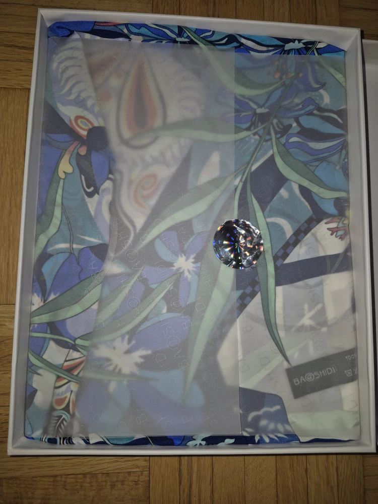 BAOSHIDI Scarf - Brand New in Box!