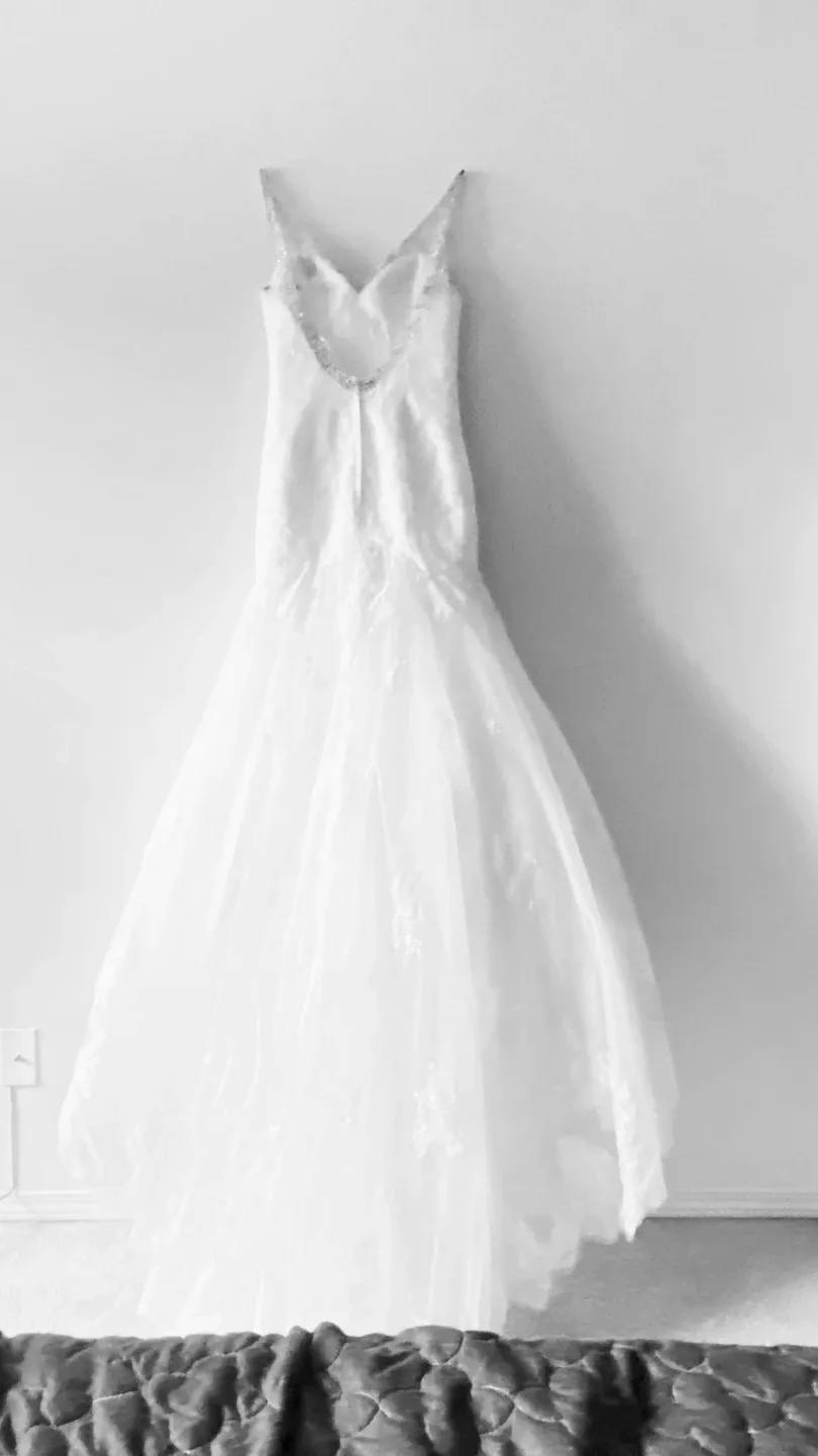 Wedding dress image indicator(4)