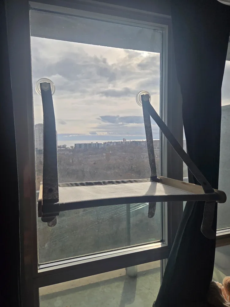 Mikicharm Cat Hammock - Window Mounted image indicator(5)