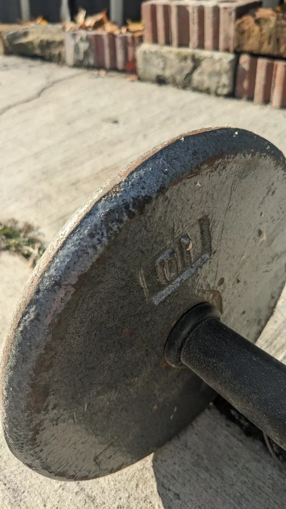 25 Pound Dumbbell image indicator(3)