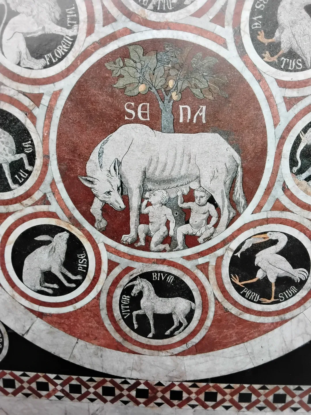 🎨 🖼 Framed Art Print - Animal Motif 🐐 🦔🦘🦒 image indicator(6)