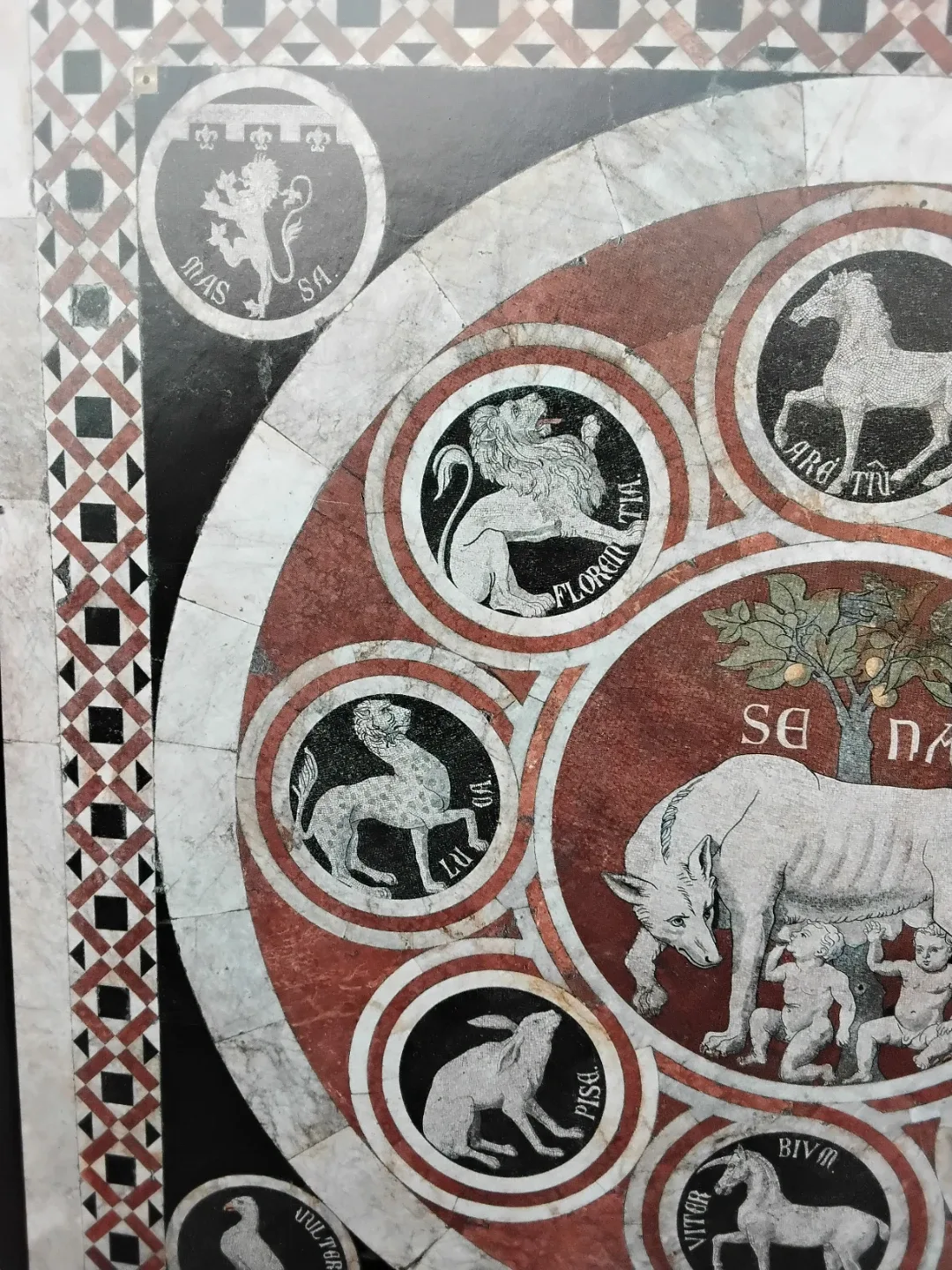 🎨 🖼 Framed Art Print - Animal Motif 🐐 🦔🦘🦒 image indicator(7)