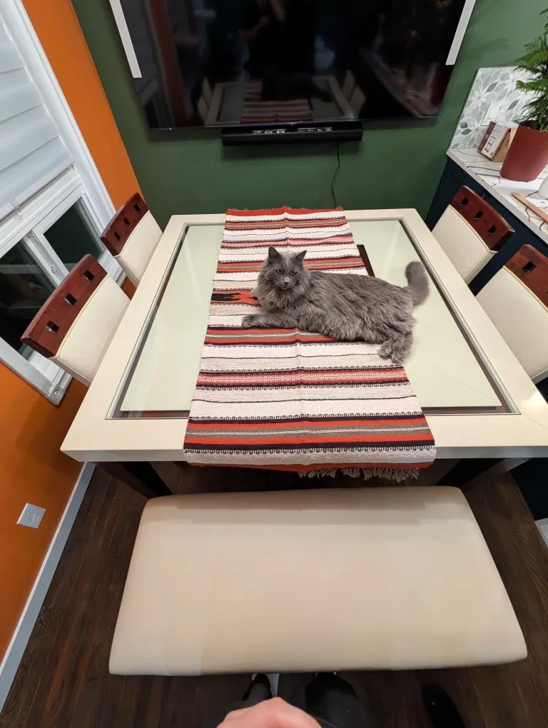 Dining Table Set with 6 Chairs & Bench