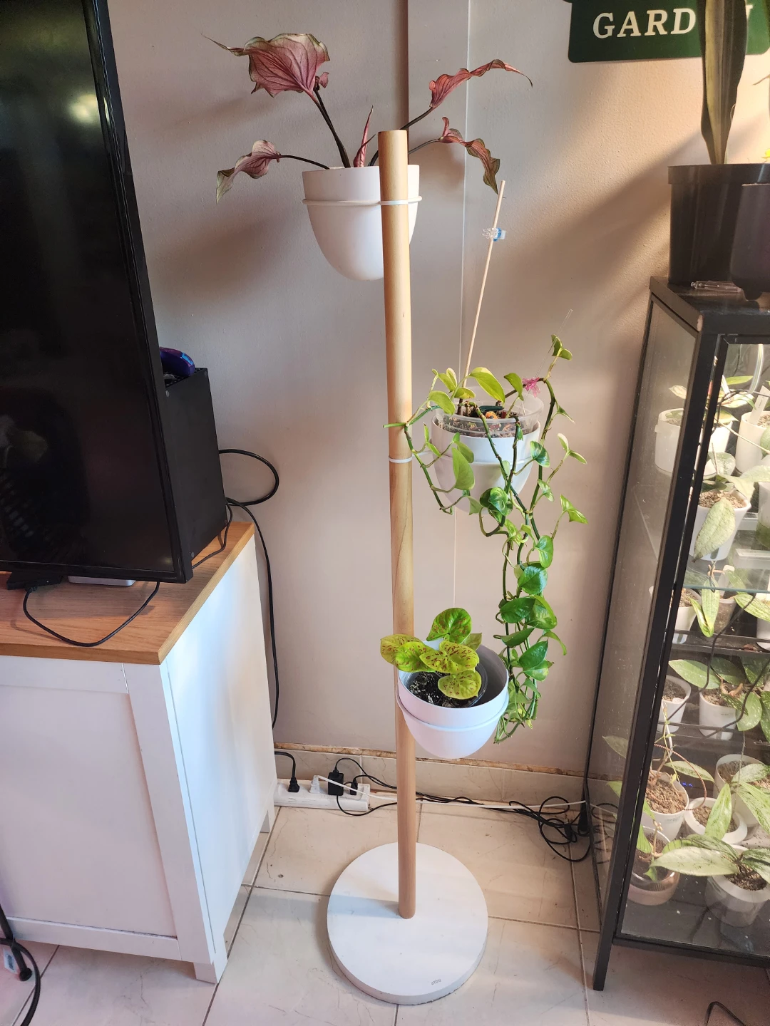 UMBRA Wooden Plant Stand with 3 White Pots - photo 2
