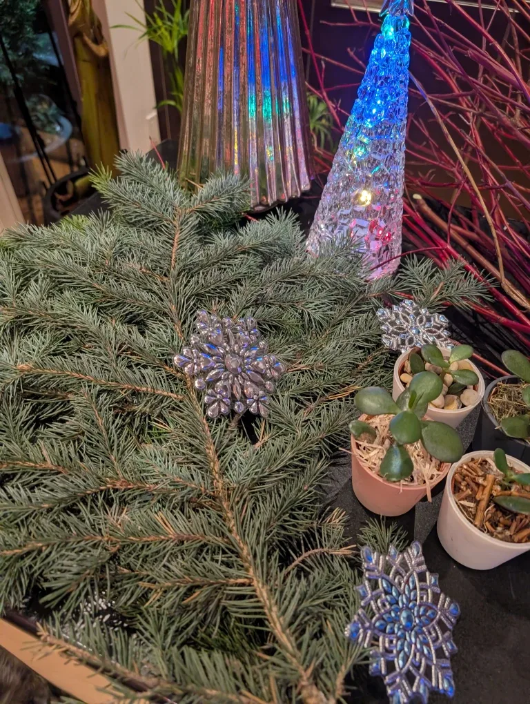 🌲🎄 Evergreen & Redwood Brunches image indicator(6)