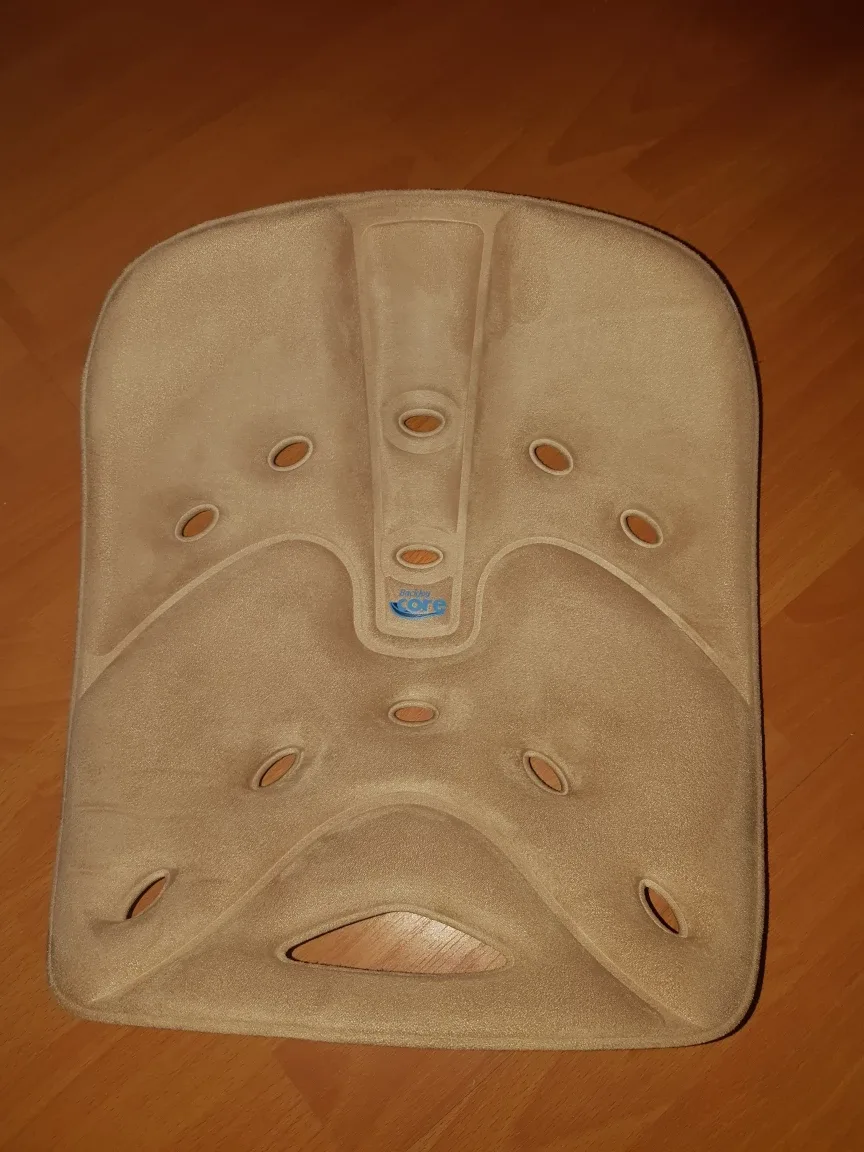 BackJoy Core Traction Back Support