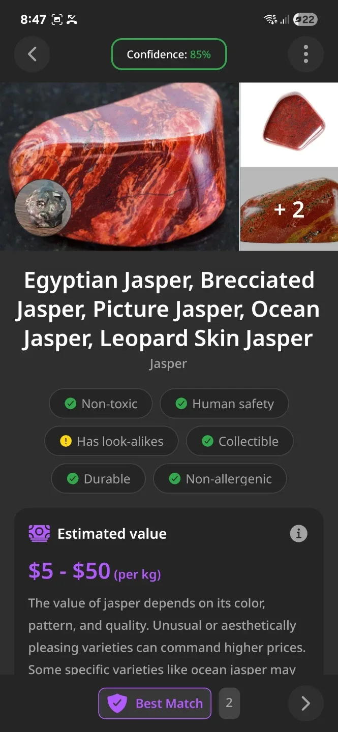 Egyptian Jasper Mushroom House image indicator(2)